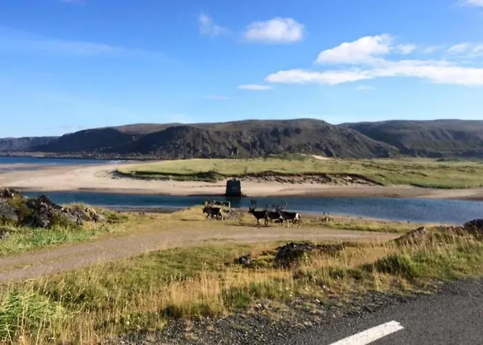 Grandfathers House *